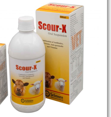 Poultry Medicine
